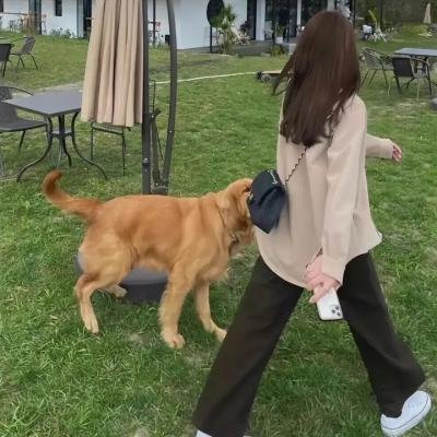 柏节莲心